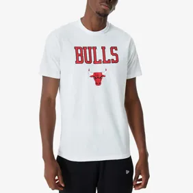 Chicago Bulls Nba Team Logo T-Shirt