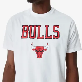 Chicago Bulls Nba Team Logo T-Shirt