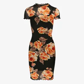 Ladies Mesh Double Layer Dress