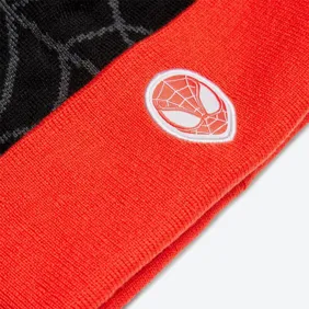 Marvel Spider-man Beanie