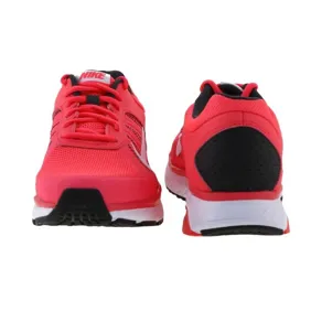 Dart 12