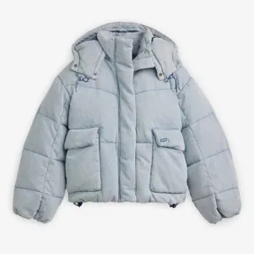Western Short Bubble Puffer