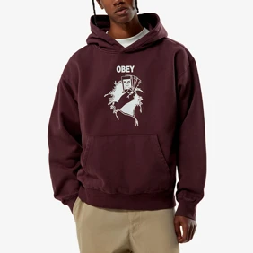 Bad Seeds Faded Hood Fleece