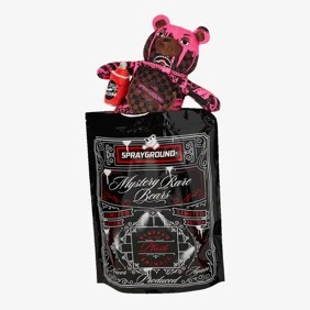 Mystery Plush Bear 5