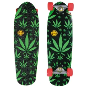 Long Island Roots Cruiser