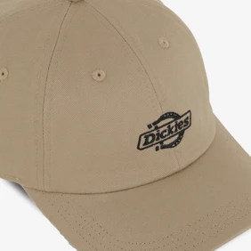 Essential Dad Cap