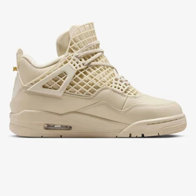 Air Jordan 4 Retro Net
