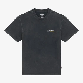 Gainesville Ss Tee