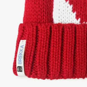 Flag Pon Beanie