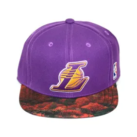 Nba Lakers