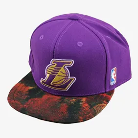 Nba Lakers