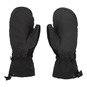 Snow Over Mittens