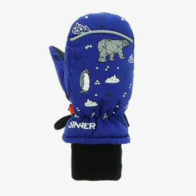 Kids Tim Dry Mittens
