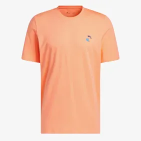 Lil Stripe Spring Break Graphic Basketball Tee