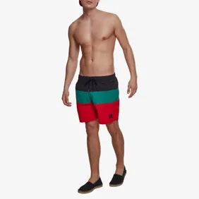 Color Block Swimshorts